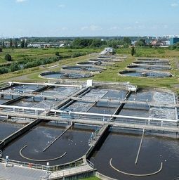 Reuse of purified waste water