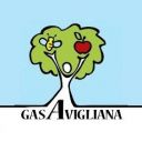 GAS Avigliana