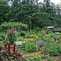 Tutela della biodiversità