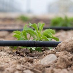 Impianti di irrigazione ottimizzati con centralina