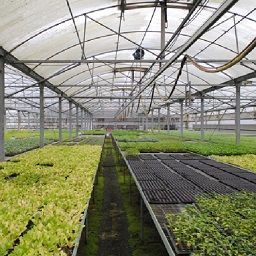 Agricoltura protetta