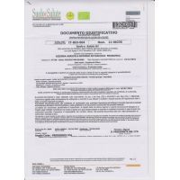 documento giustificativo 1106230 001