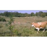 wp_20150911_10_43_57_pro