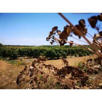 post passion fruit 3min