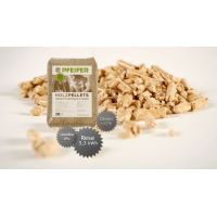 pfeifer.slide.google1