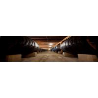 experience_since_1427