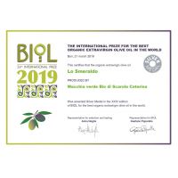 attestato biol 2019 silver medal_page0001