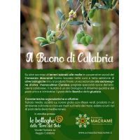 volantino consorzio_1000