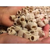 ditalini in mano a lidia