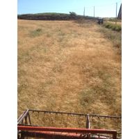 whatsapp image 20200306 at 18.00.25 1