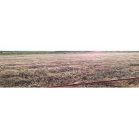 whatsapp image 20200306 at 18.11.57 1