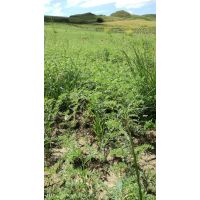 whatsapp image 20200306 at 18.11.57 2