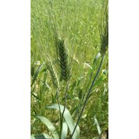 whatsapp image 20200306 at 18.11.58 2