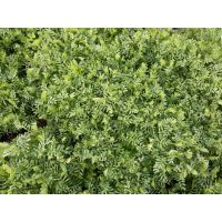 whatsapp image 20200306 at 18.11.59 1