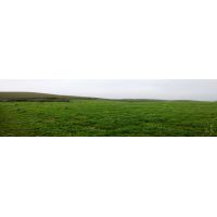 whatsapp image 20200306 at 18.11.59