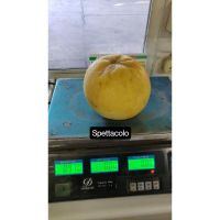 img_20231201_145419_143