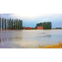 3_cascina_risaia_allagata