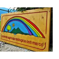 sorgente-biologica-logo