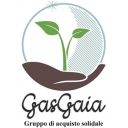 GasGaia
