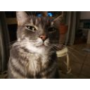 CESENA mangiare sano