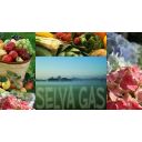 Selva Gas