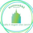 BustoveGAS