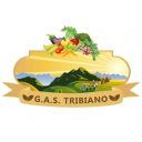 Gas Tribiano