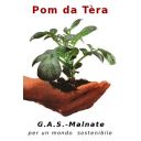 Pom da Tèra - Gas Malnate