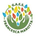 GAES F. Marotta - Villasanta